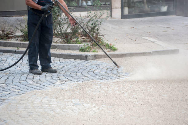 Best Driveway Pressure Washing  in Fairwood, MD